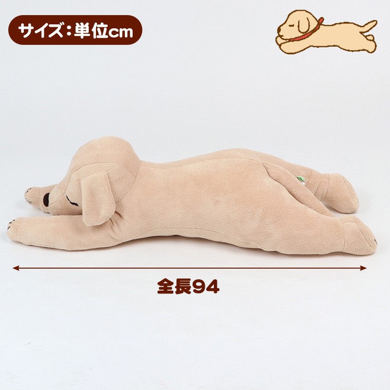 柔软狗狗(图5)